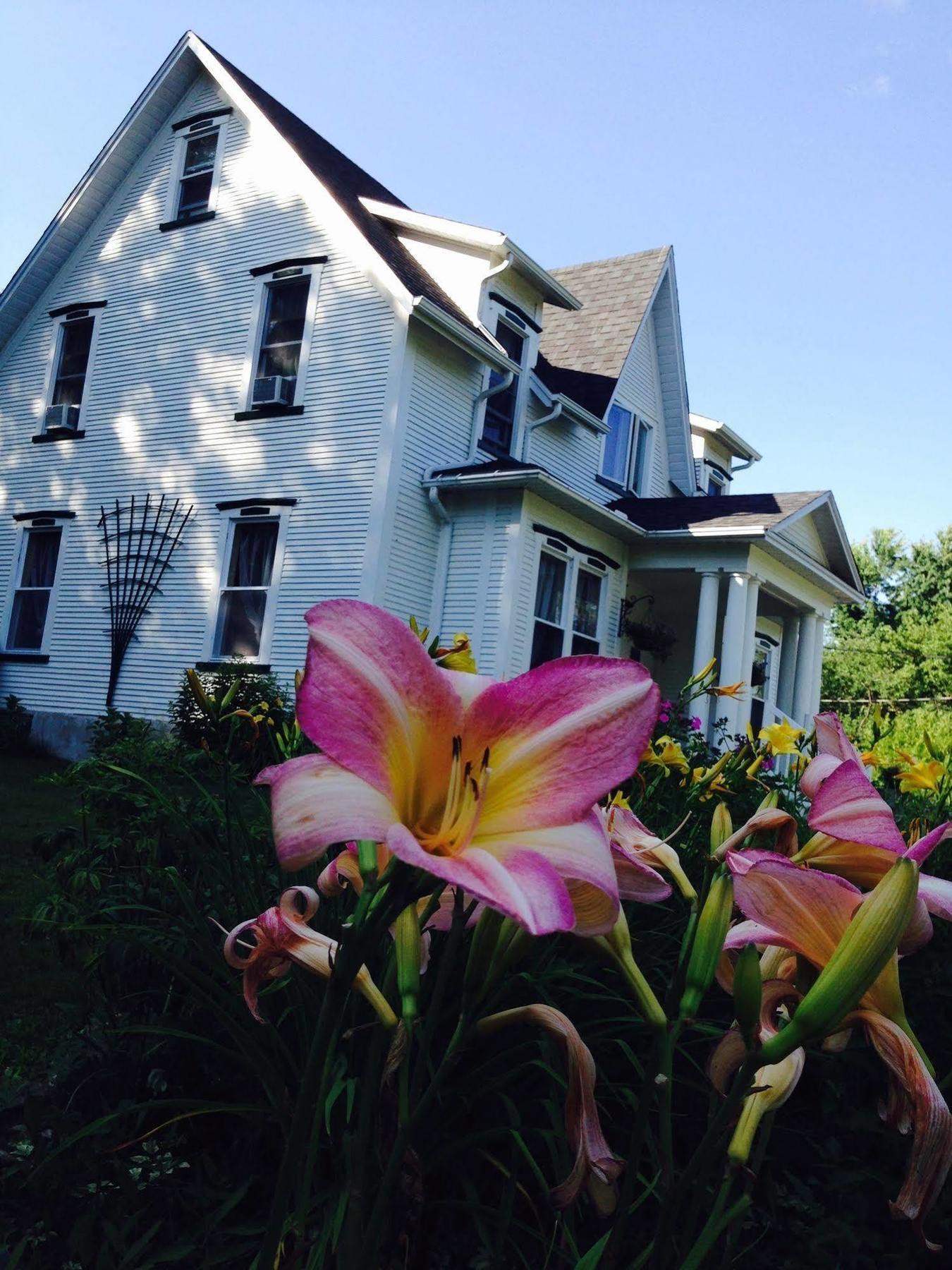 B&B Hillhouse Lac-Brome Dış mekan fotoğraf